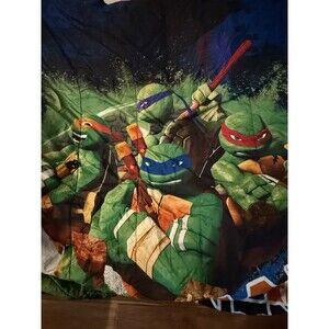 Nickelodeon Ninja Turtles In Training twin comforter Plus Flat & Fitted Sheets
